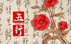 巳时属什么五行缺什么 他们的性格怎么样