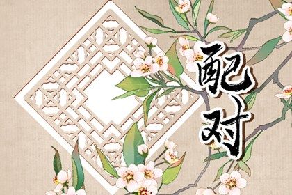 属虎的和属狗的相配吗 属狗和属虎的婚配好吗