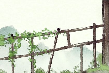 属虎二月出生的人命运 二月属虎属于什么命