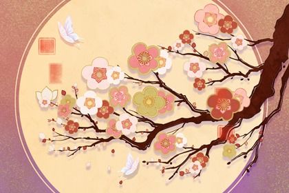 除夕出生的女孩命硬 气质文雅才华出众