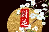 节气出生的人都好命 有什么说法