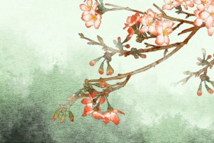 2022年正月初四生宝宝好吗 晚年荣富之命