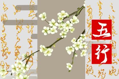 2016年五行属什么命 火猴人命运如何解析