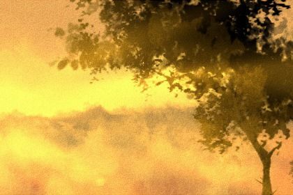 上元节出生的男孩命硬吗 此日出生的男孩命运解析