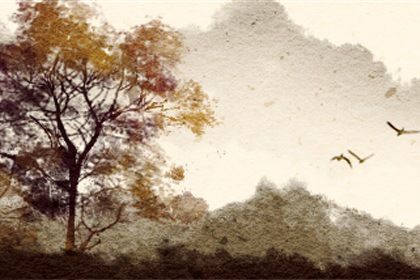 上元节出生的人有什么特点 上元节出生的命运好不好