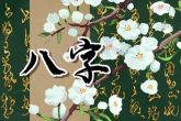 属虎12月出生的命运 经商之人多有财运亨通之象