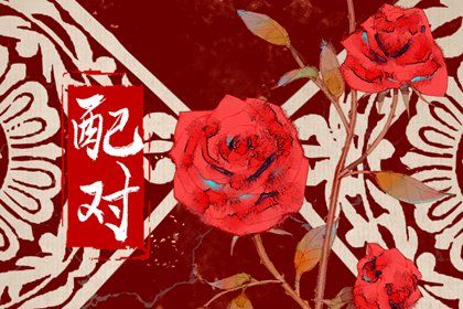 蛇与狗相配吗 蛇狗婚姻配对如何解析