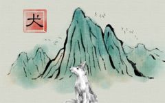 82属狗女寿命多长 晚年运势需要注意什么