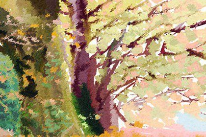 2022年属什么的运气最好 2022哪个属相运气最旺