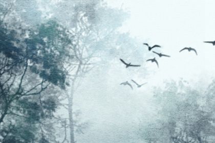 1987年的兔是什么命 属兔人为炉中火命