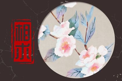 相学上额头反光好不好 有贵人运且事业有成