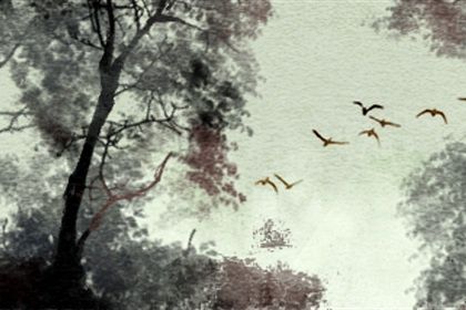 二月二龙抬头出生的人好吗 比较重名利 二月二龙抬头出生的人好吗 比较重名利