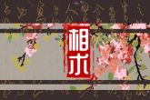 2022年犯星煞的属相是什么 解析什么是犯星煞