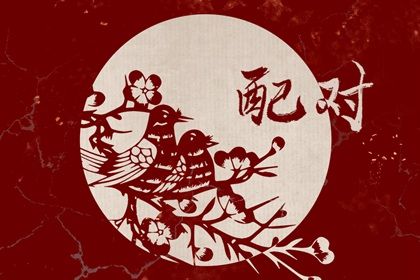 属鼠的和属兔的婚姻 属鼠和属兔的婚配好吗