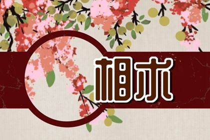 额头不饱满面相 赚钱能力弱