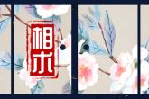 鼻子有痣好不好 长在鼻子上的如何分析