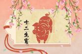 属猪的运气和财气 积极进取勇于开拓