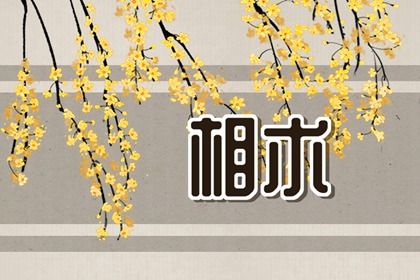 女人中年后转好运的手相 手掌厚实粗糙