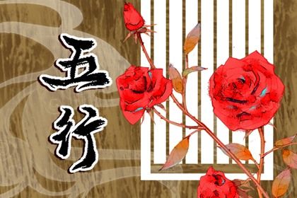 属木的东西都有哪些 如何分析五行属木的行业