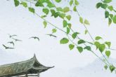 属兔哪个时辰出生大富大贵 属兔在哪些时辰出生好