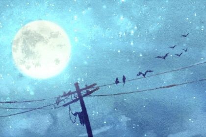 1987年6月属兔是什么命 一生显荣则大吉大利也