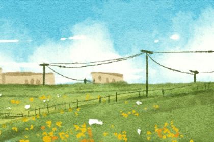 1987年2月属兔是什么命 多主官贵且丁壬合财 1987年2月属兔是什么命 多主官贵且丁壬合财