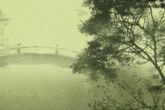 1987年12月属兔是什么命 12月出生兔的命运如何分析