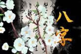 87年5月属兔的是什么命 分析属兔人5月出生的命运