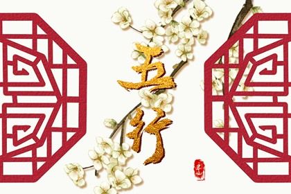 大林木命做什么业务发财 大林木命行业有哪些