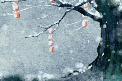 95年属什么生肖的 属猪人的命运会如何