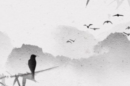 属猴子时出生的女孩命运如何 有贵人扶持事业飞速发展