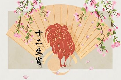 算命属鸡人一生的命运 奔波劳碌无法安定