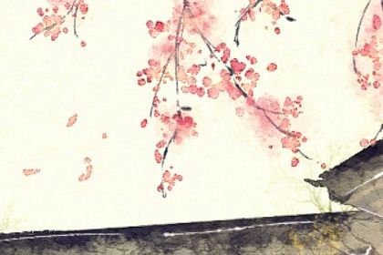 2004年属猴女孩命运 属猴女一生可衣食无忧