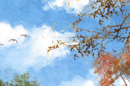 1990年出生属什么 金马命之人一生运势 1990年出生属什么 金马命之人一生运势