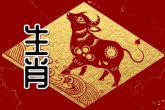 2022陌越会红鸾 生肖属牛虎年运程