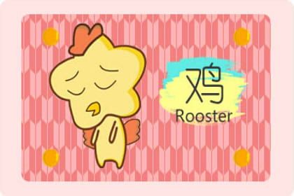 生肖鸡一生运程 事业运势走向非常好