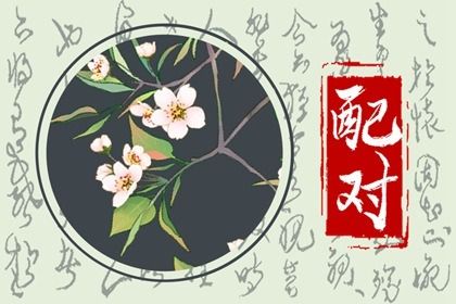 1995猪2000龙相配吗 95年属猪跟什么属相配