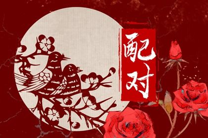 女兔配龙的婚姻怎么样 观念不合则以离婚收场