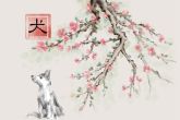 94年狗女2022年下半年运势 健康和家庭关系要多留心