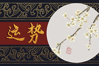 87属兔的一生财运 属相兔的财运方位解析