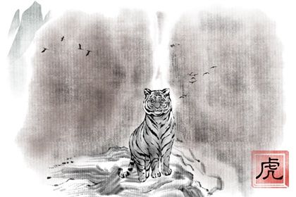 属虎的什么时候有财运 猪年是他们走运之年