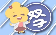 2022年双子座的幸运色和忌讳色是什么