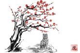1998年属虎女哪年结婚好 25岁结婚