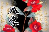 2023年属兔的孩子是什么命 属兔出生的命运如何分析