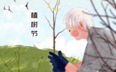 植树节简短祝福十个字 关于植树节的佳句