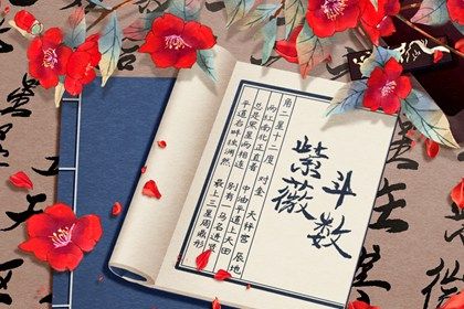 紫微斗数看配偶特征 如何从紫微斗数看另一半信息