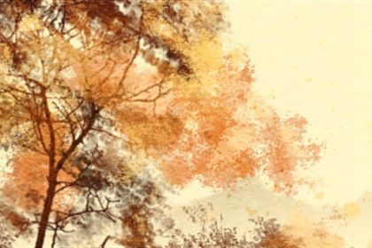 亥时出生女人命带神仙 富有灵气才华横溢则易大富大贵