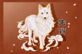 94年属狗女晚婚注定的配偶 虎年 兔年 猪年