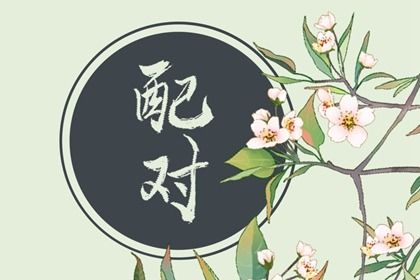 属猪的和属猪的适合做夫妻吗 两个属猪的结婚会幸福吗