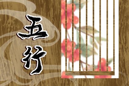 金命人做什么生意好 金命人的职业建议分析
